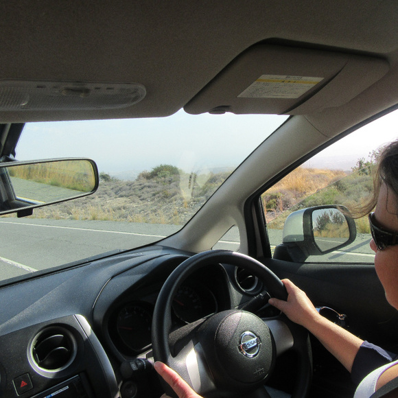 Meet your Posher, Elena - Picture 1 of 1